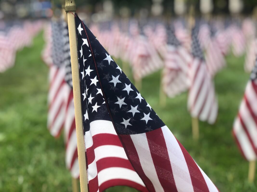 american flags placed in grass for memorial day in lancaster county