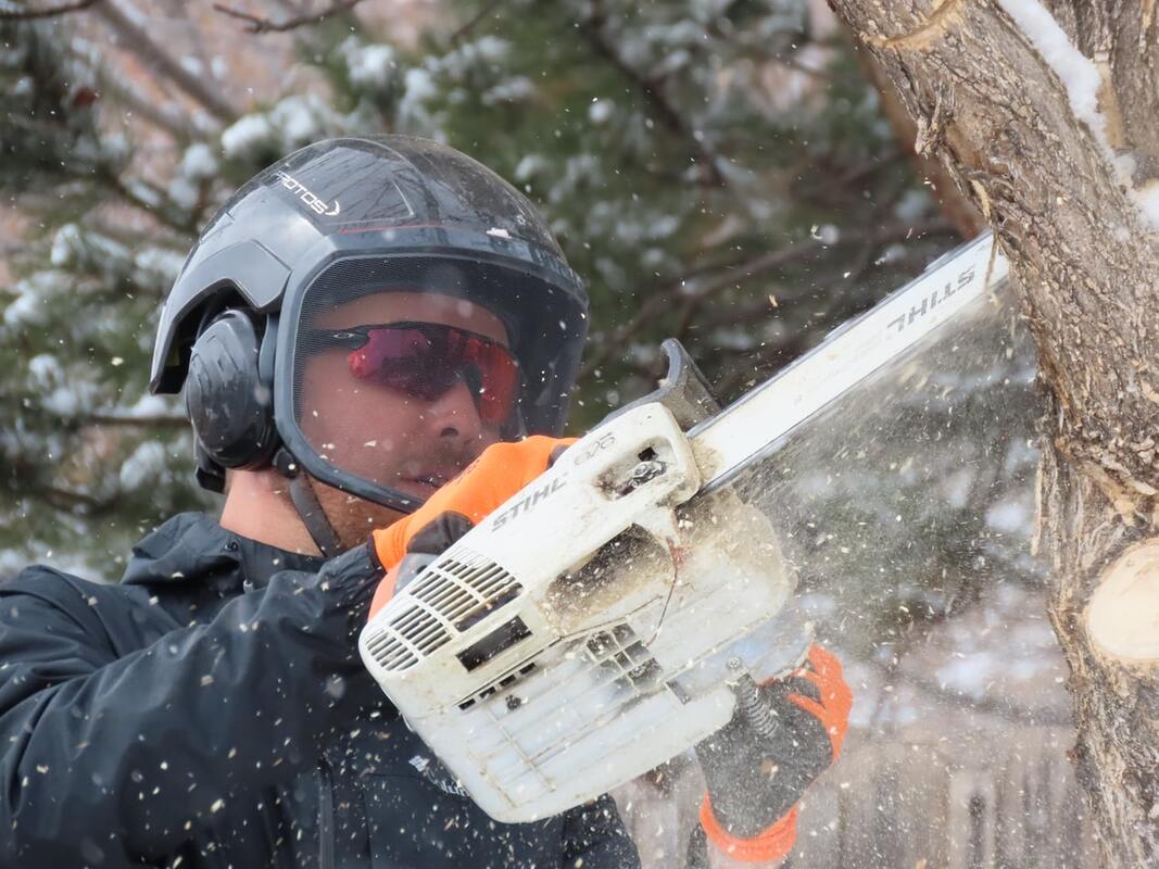 lancaster county man cuts tree branch with chainsaw while wearing helmet face shield and hearing protection