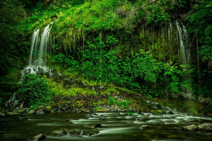 listening to waterfalls in a lush green environment to soothe stress