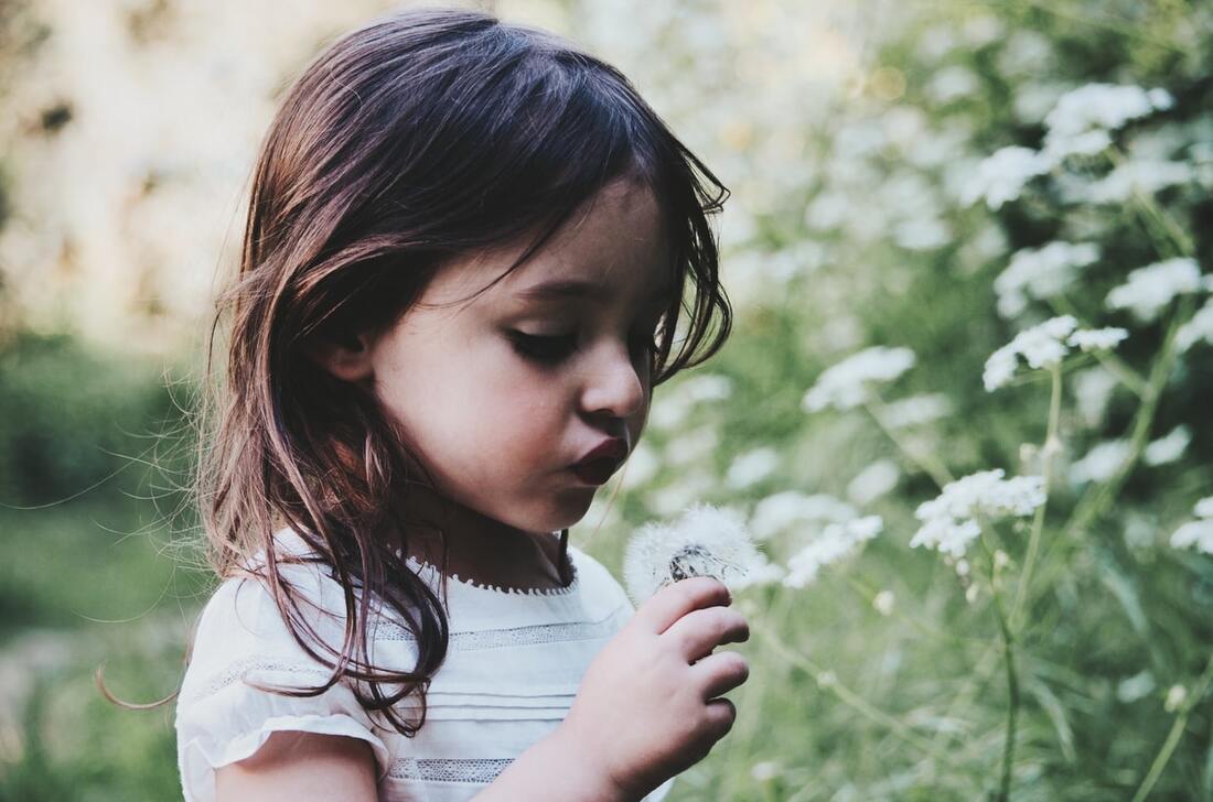 little girl with hearing loss looks at dandelion flower