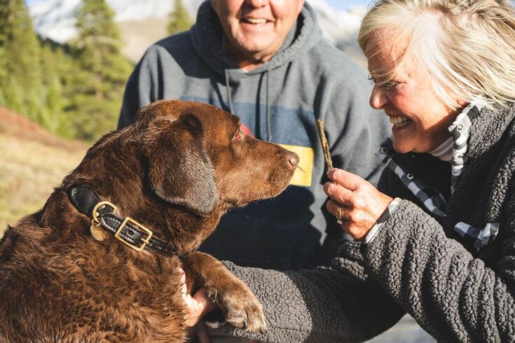 A couple with hearing loss plays with a chocolate lab retriever.