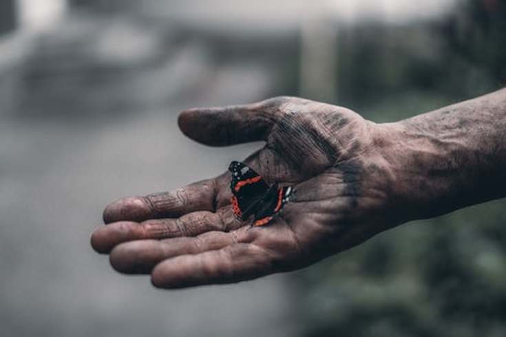 hand_holding_butterfly_to_symbolize_gift_of_hearing