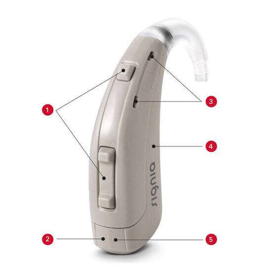 where_can_i_find_grey_signia_intuis3_bte_hearing_aids_with_features_in_aberdeen