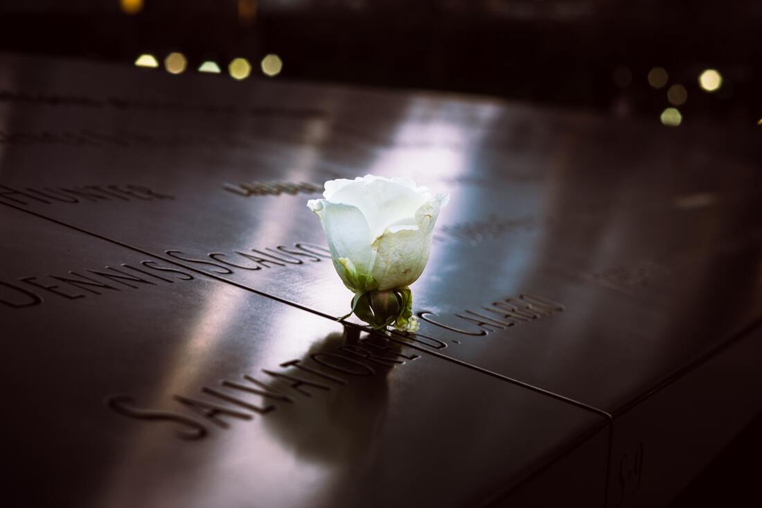 white-rose-on-9-11-memorial-nyc